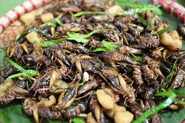 Các quán ăn côn trùng ở Sài Gòn
