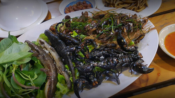 các quán ăn côn trùng ở Sài Gòn